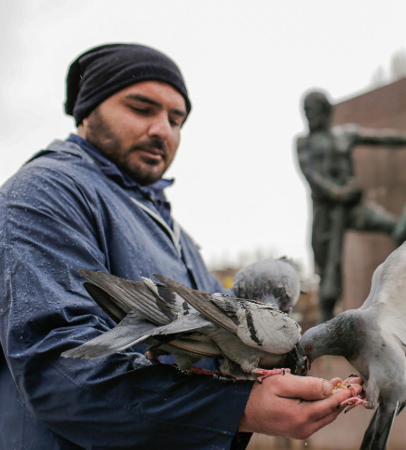 Man feeding pigeon